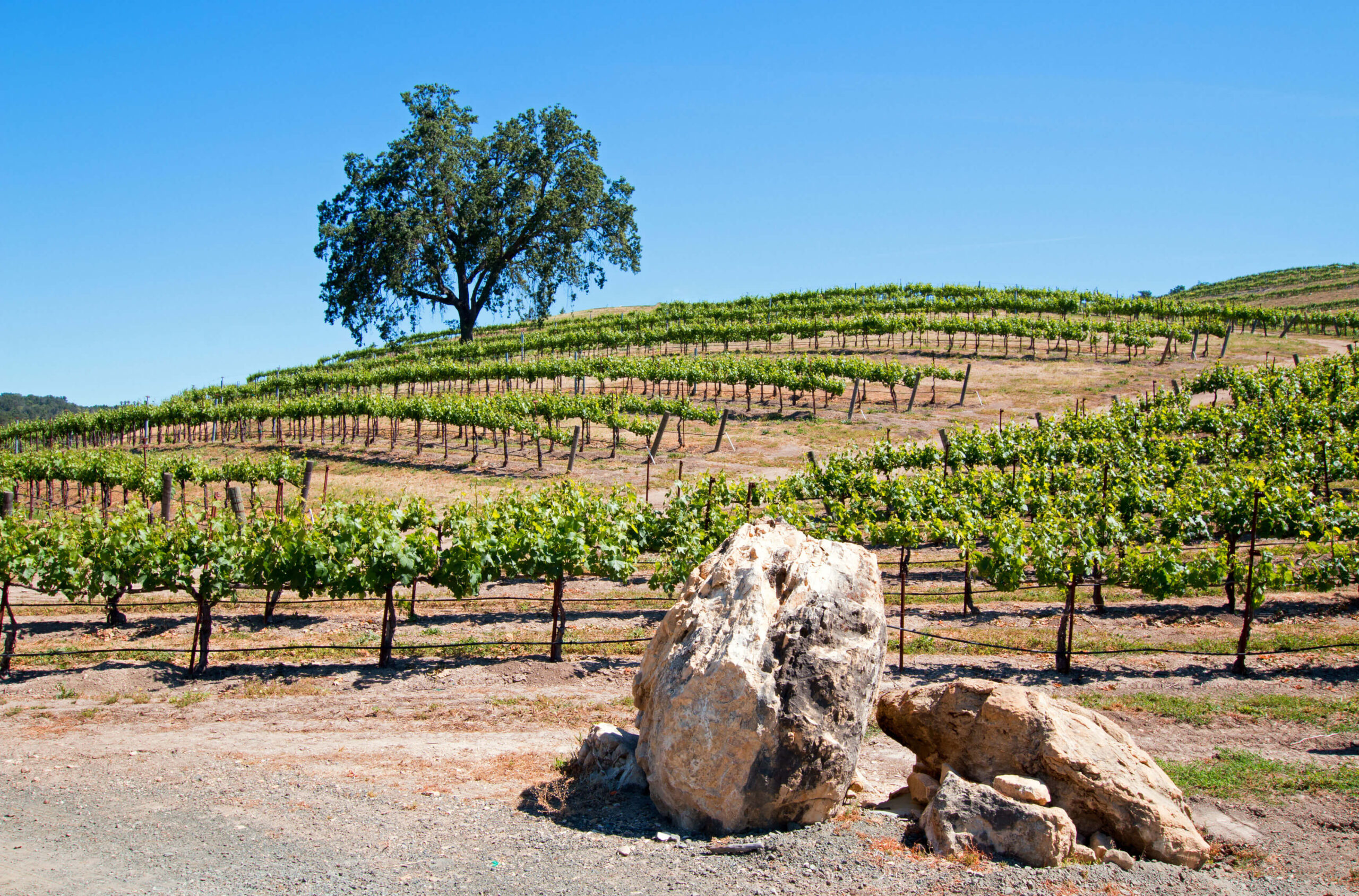 Paso Robles